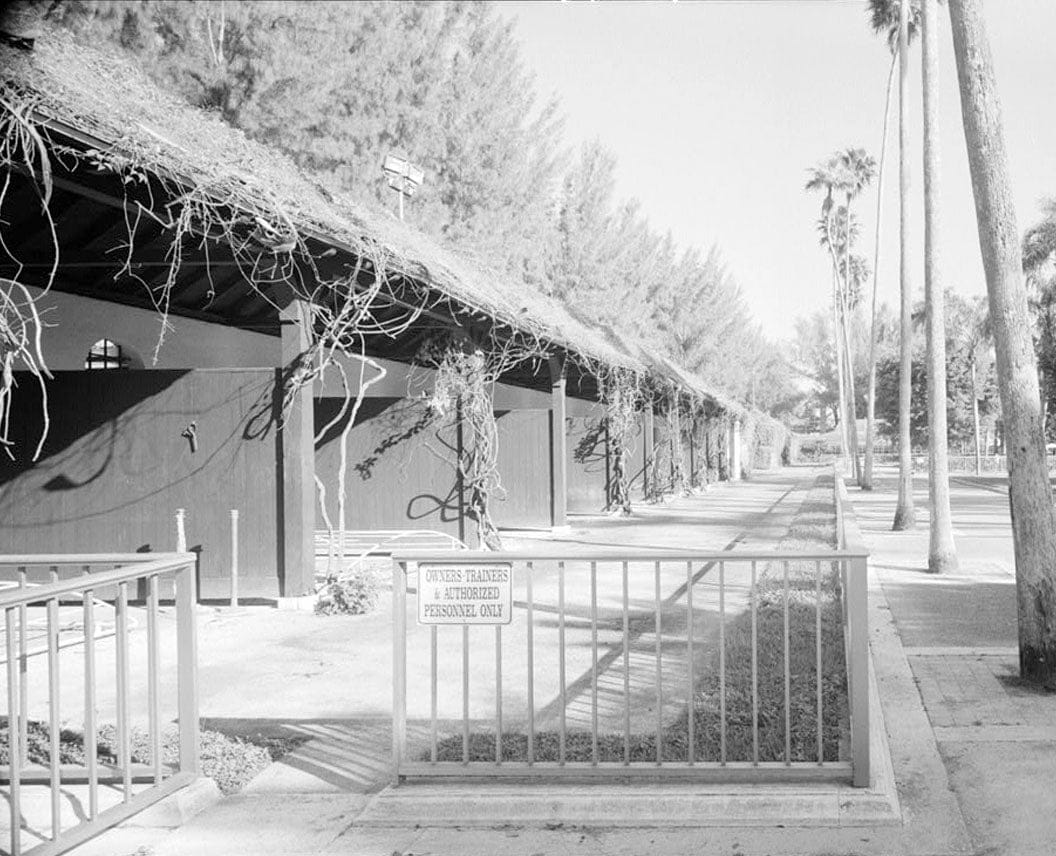 Historic Photo : Hialeah Park Race Track, East Fourth Avenue, Hialeah, Miami-Dade County, FL 24 Photograph