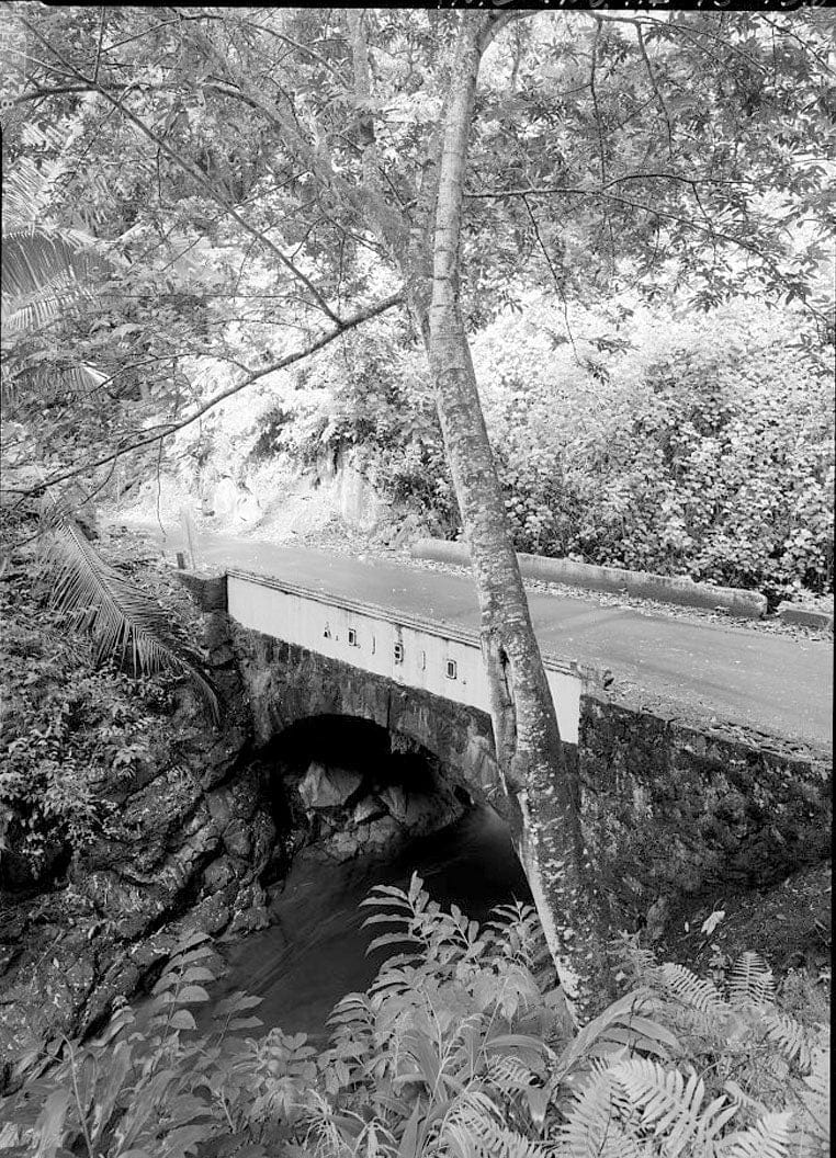 Historic Photo : Hana Belt Road, Between Haiku and Kaipahulu, Hana, Maui County, HI 58 Photograph