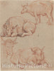 Art Print : Claude Lorrain, Four Cows - Vintage Wall Art