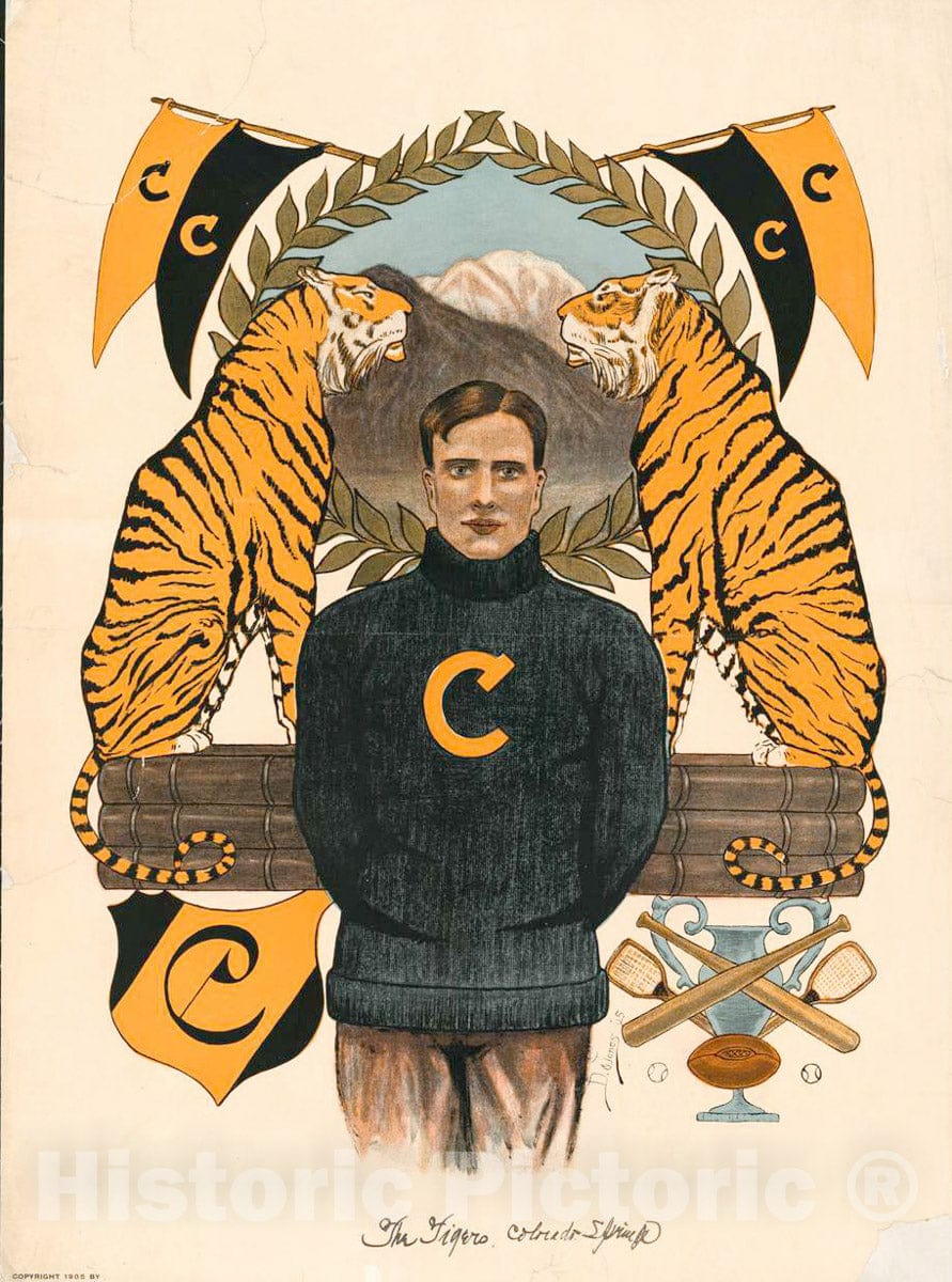 Vintage Poster - The Tigers, Colorado - Springs., Historic Wall Art