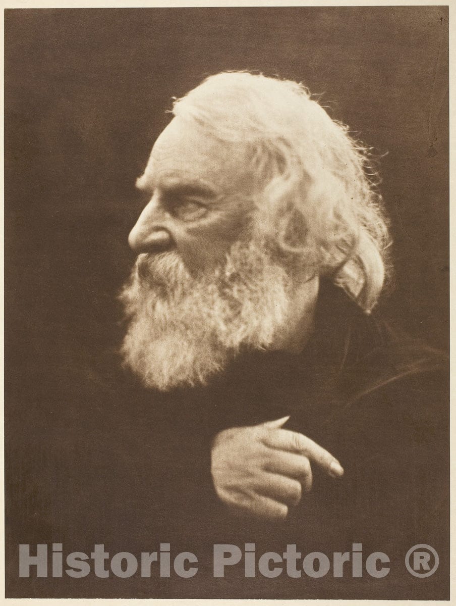 Art Photo : Henry Wadsworth Longfellow, Julia Margaret Cameron, c 1868, Vintage Wall Decor :