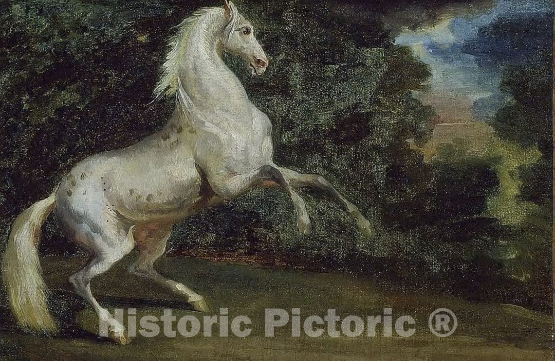 Art Print : Prancing Horse, Jean Louis Andre Theodore Gericault, c 1890, Vintage Wall Decor :