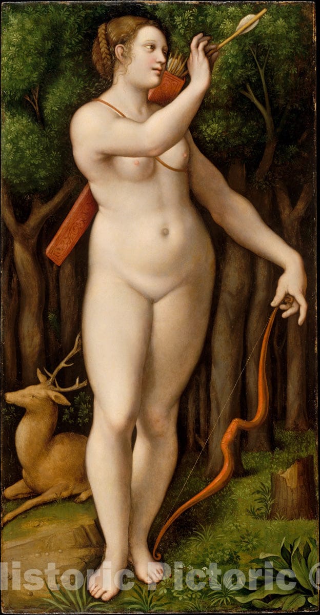 Art Print : Giampietrino (Giovanni Pietro Rizzoli) - Diana The Huntress : Vintage Wall Art