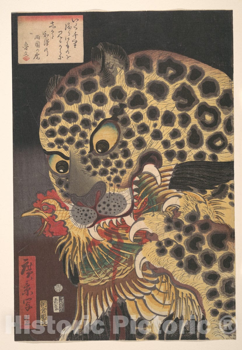 RUKURUKU絵画4点 Utagawa Hirokage - “The Tiger of Ryōkoku,” from The Series