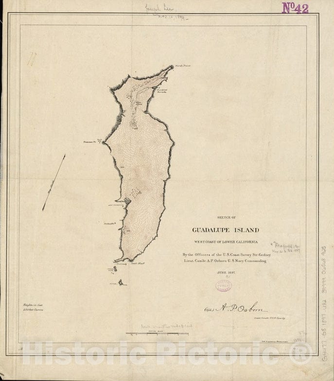 Historical Map, 1897 Sketch of Guadalupe Island : west Coast of Lower California, Vintage Wall Art