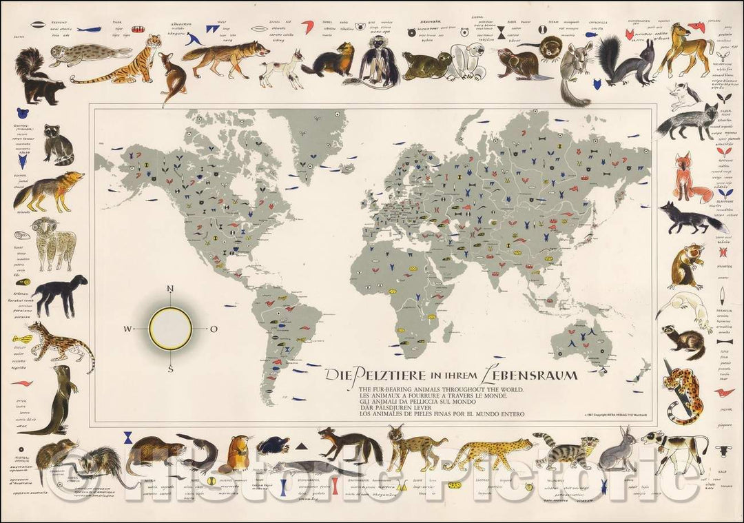 Historic Map - Die Pelztiere in Ihrem Lebensraum, The Fur-Bearing Animals Throughout The/The fur-bearing animals in your living space, 1957 - Vintage Wall Art