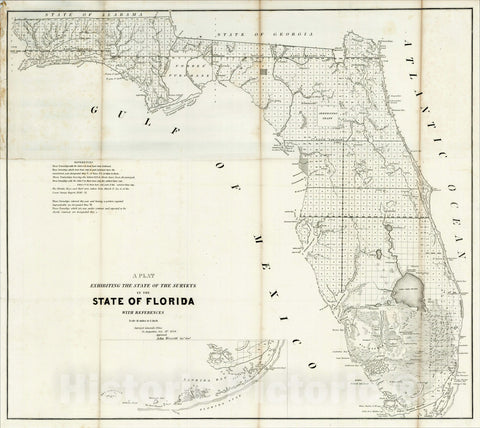 Historic Map : A Plat Exhibiting The State of the Surveys in the State of Florida, 1853, 1854, U.S. Surveyor General, Vintage Wall Art