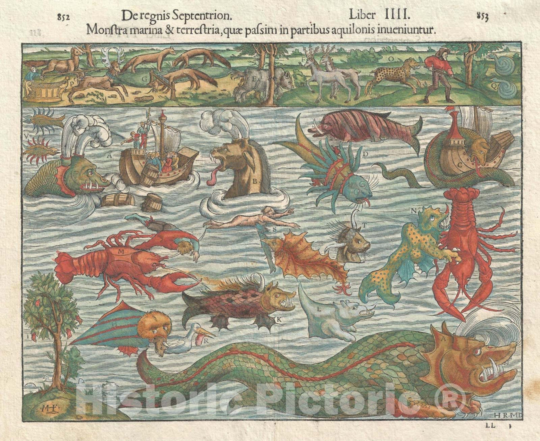 Historic Map : Sea Monsters and Fantastical Beasts, Munster, 1545, Vintage Wall Art