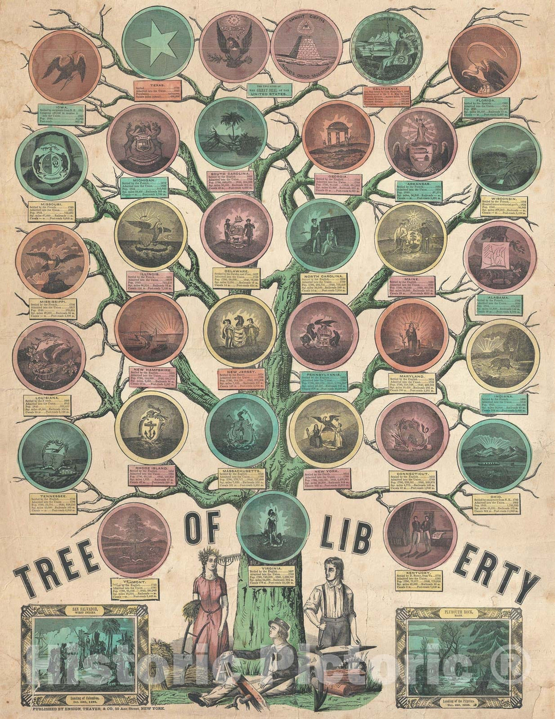 Historic Map : Tree of Liberty' Patriotic Broadside, Ensign and Thayer, 1849, Vintage Wall Art