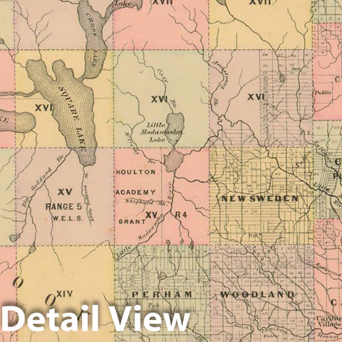 Historic Map : Atlas State of Maine, Timber Lands Number 5 1894-95 , Vintage Wall Art