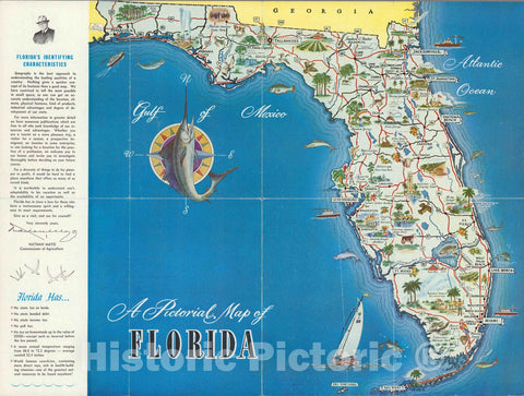 Historic Map : A pictorial map of Florida, 1954 - Vintage Wall Art