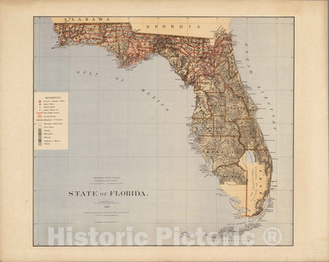 Historic Map : State of Florida 1876 - Vintage Wall Art