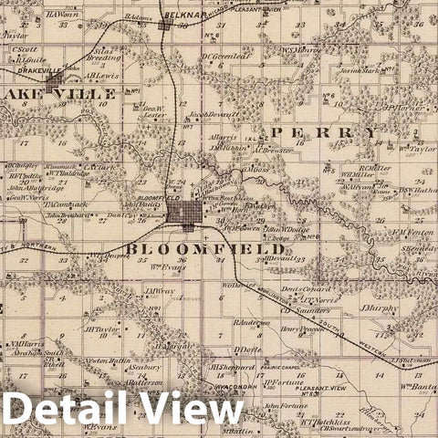 Historic Map : 1875 Map of Davis County, State of Iowa. - Vintage Wall Art
