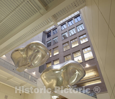 Chicago, IL Photo - Sculpture La Tormenta (The Storm) Located in Interior Atrium of U.S. Citizenship and Immigration Services, DHS, Chicago, Illinois