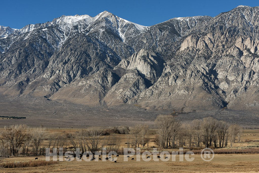 Bishop, CA Photo - Meadow Between U.S. 395 and Lower Rock Creek Road North of Bishop in Mono County, California