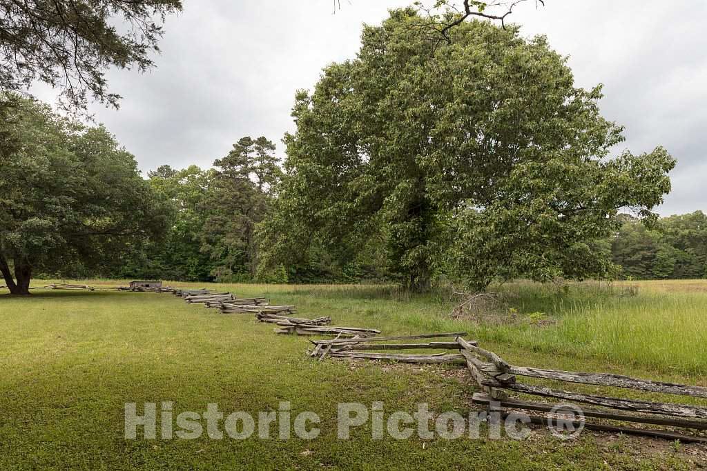 Photo- The Mount Locust Inn and Plantation Grounds, Located on The Natchez Trace Parkway in Natchez, Mississippi 1 Fine Art Photo Reproduction