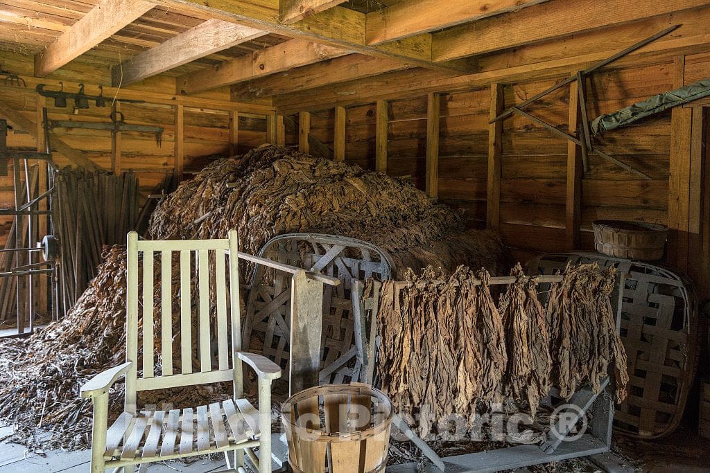 Photo- Part of The L.W. Paul Living History Farm, a Historical Museum Complex Near Conway in Horry County, South Carolina 2 Fine Art Photo Reproduction