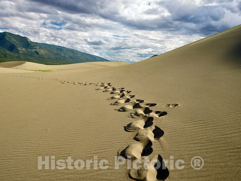 Photograph- Footprints at Great Sand Dunes National Park & Preserve, one of America's newest national parks to be established (in 2004), in the San Luis Valley at the base of the Sangre de