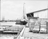 Historic Black & White Photo - Savannah, Georgia - The Cotton Docks, c1907 -