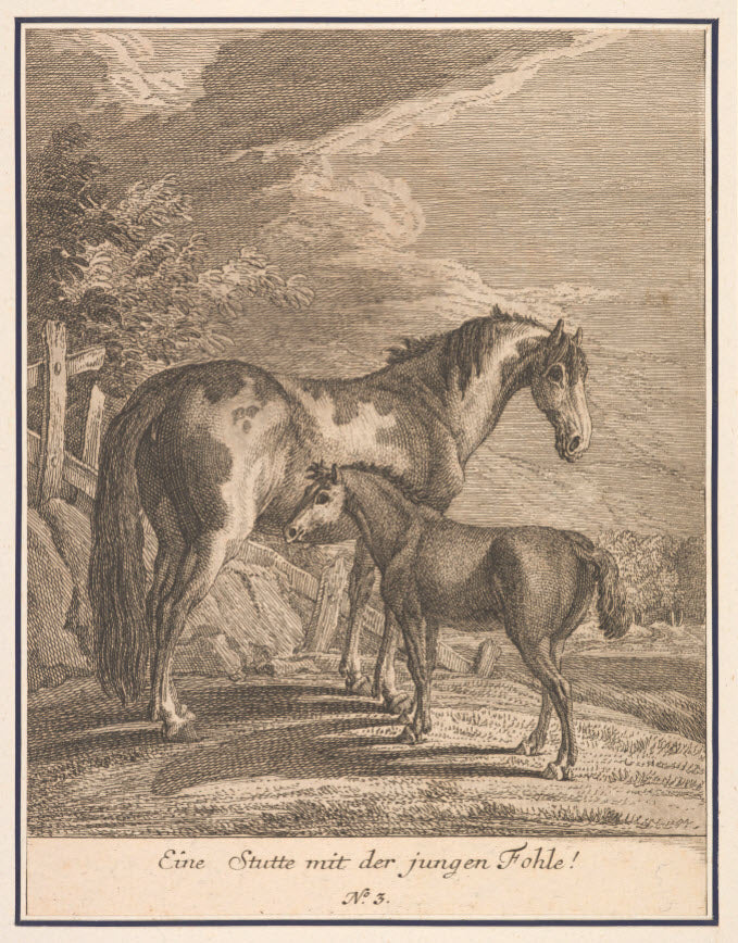 Art Print : Johann Elias Ridinger - Eine Stutte mit der jungen Fohle!