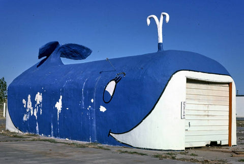 Historic Photo : 1979 The Whale Car Wash, N. 50th & Meridian, Oklahoma City, Oklahoma | Margolies | Roadside America Collection | Vintage Wall Art :
