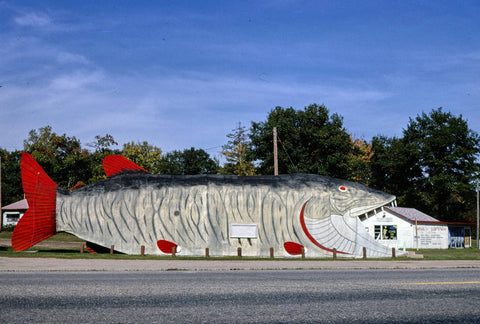 Historic Photo : 1980 Big Fish Supper Club, horizontal view 1, Route 2, Bena, Minnesota | Margolies | Roadside America Collection | Vintage Wall Art :