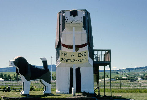 Historic Photo : 2004 Dog Bark Park, rear view, Route 95, Cottonwood, Idaho | Margolies | Roadside America Collection | Vintage Wall Art :