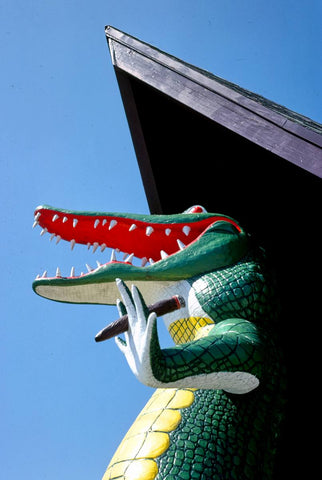 Historic Photo : 1979 Gatorland Zoo alligator statue, Route 1, St. Augustine, Florida | Margolies | Roadside America Collection | Vintage Wall Art :