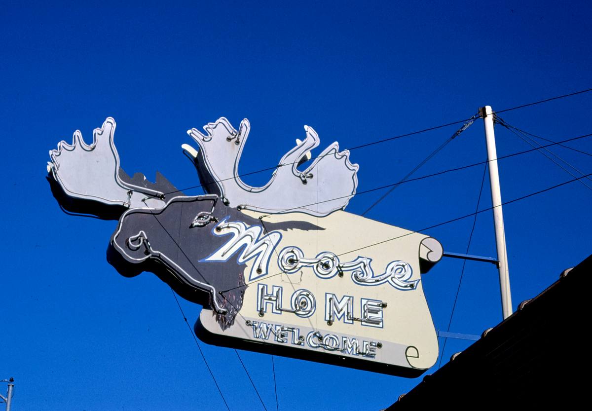 Historic Photo : 1987 Moose Home sign, Vine Street, Missoula, Montana | Margolies | Roadside America Collection | Vintage Wall Art :