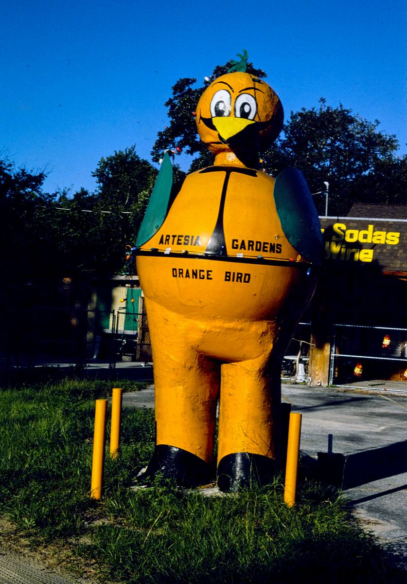 Historic Photo : 1990 Orange bird sign, Artesia Gardens Citrus Stand, Route A1A, Hammock, Florida | Margolies | Roadside America Collection | Vintage Wall Art :