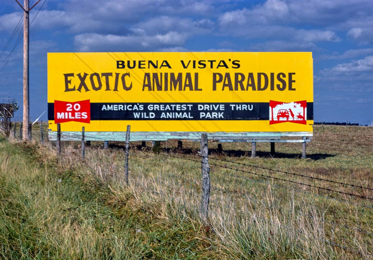 Historic Photo : 1979 Exotic Animal Parade billboard, Route 65, Near Ozark, Ozark, Missouri | Margolies | Roadside America Collection | Vintage Wall Art :