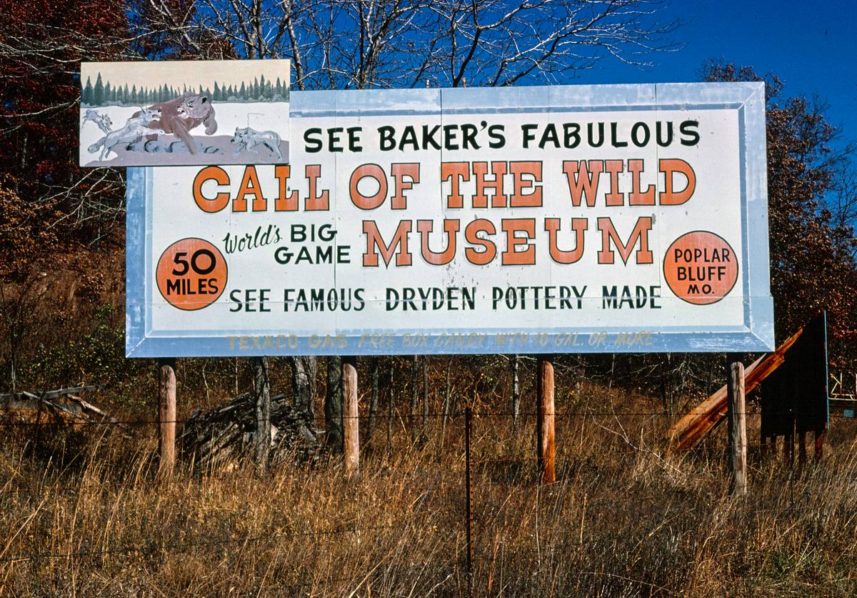 Historic Photo : 1979 Call of the Wild Museum billboard, Route 60, Van Buren, Missouri | Margolies | Roadside America Collection | Vintage Wall Art :