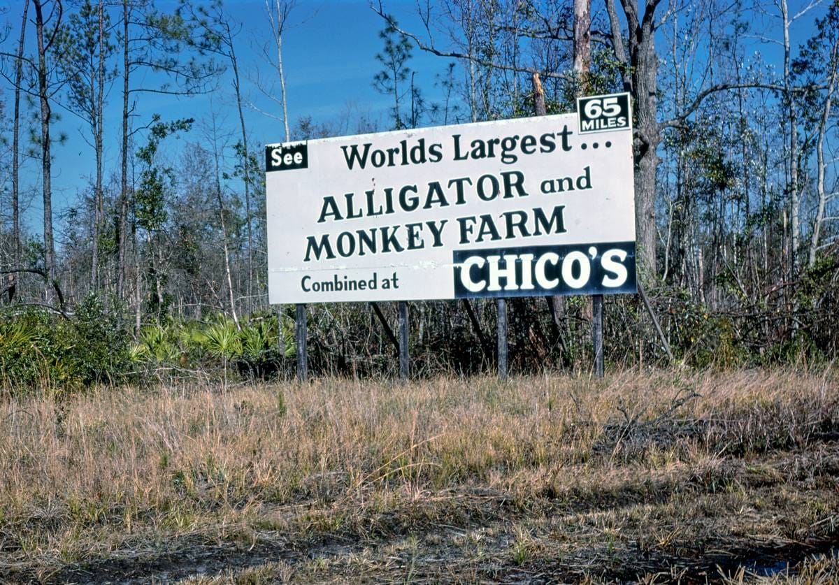 Historic Photo : 1979 Chico's billboard, Route 17, Georgia | Margolies | Roadside America Collection | Vintage Wall Art :