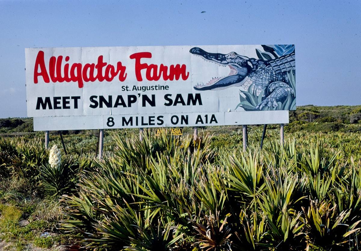 Historic Photo : 1979 Alligator Farm, billboard 1, Route A1A, St. Augustine, Florida | Margolies | Roadside America Collection | Vintage Wall Art :