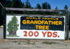 Historic Photo : 1991 Grandfather Tree billboard, Route 101, Garberville, California | Margolies | Roadside America Collection | Vintage Wall Art :