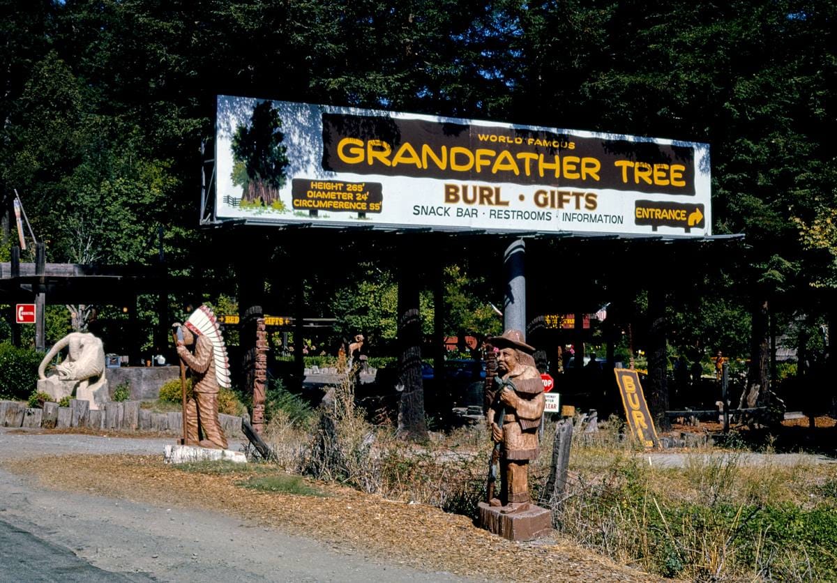 Historic Photo : 1991 Grandfather Tree entrance, Route 101, Garberville, California | Margolies | Roadside America Collection | Vintage Wall Art :