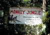 Historic Photo : 1990 Monkey Jungle sign, Miami, Florida | Margolies | Roadside America Collection | Vintage Wall Art :