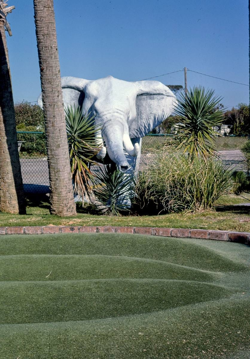 Historic Photo : 1985 Elephant (straight on), Jungleland miniature golf, Atlantic Beach, North Carolina | Margolies | Roadside America Collection | Vintage Wall Art :