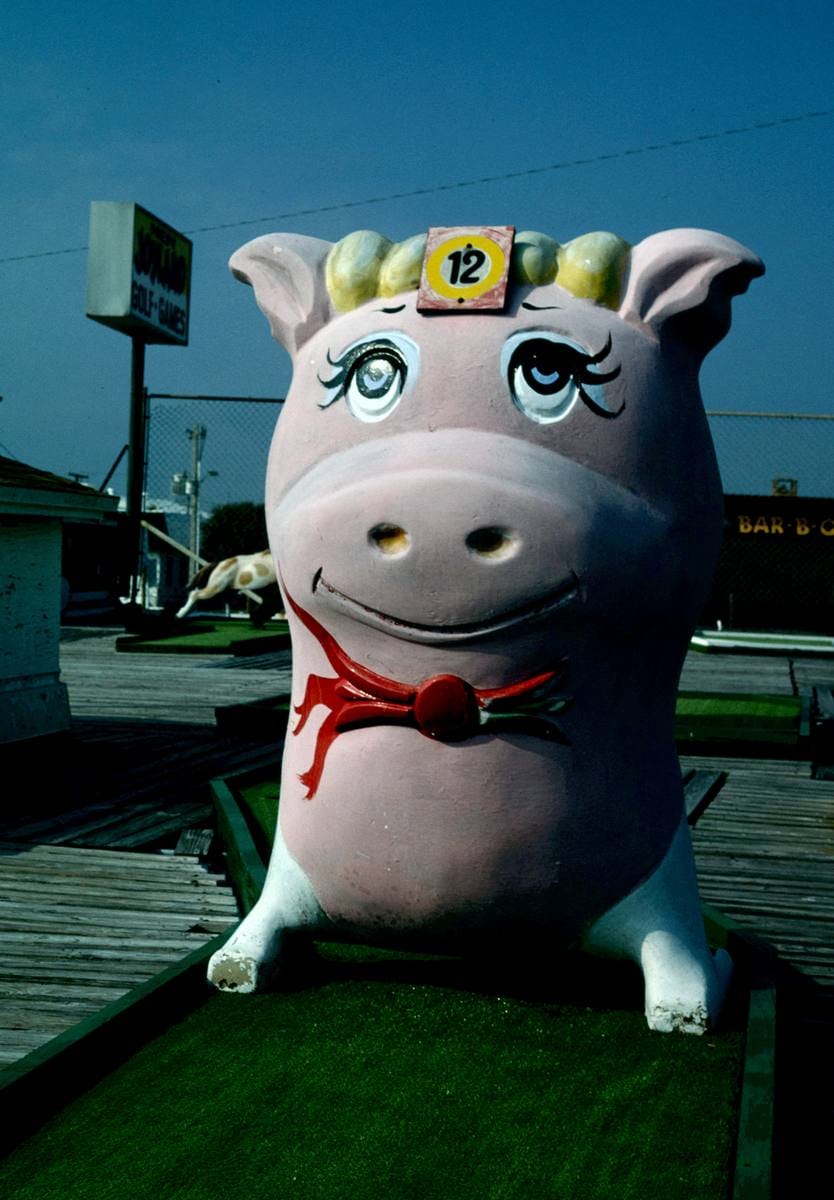 Historic Photo : 1990 Pink pig, Joyland Golf, Daytona Beach, Florida | Margolies | Roadside America Collection | Vintage Wall Art :