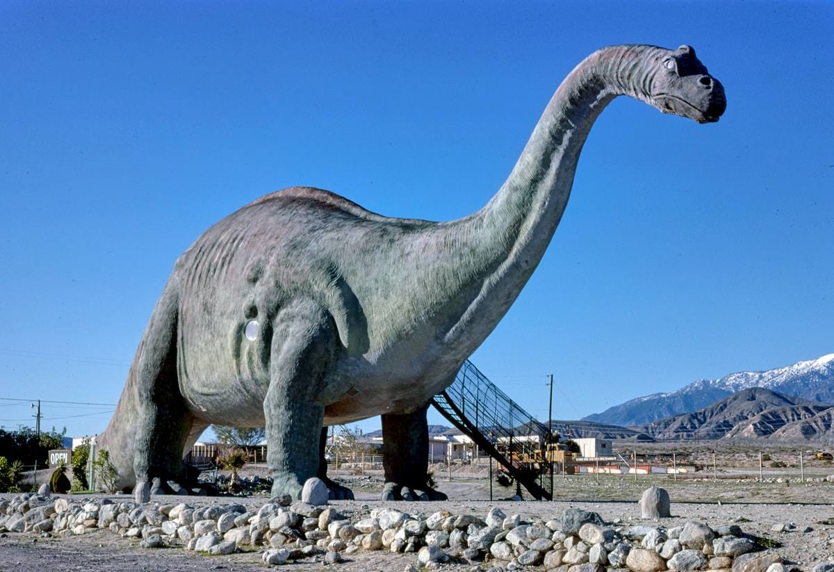 Historic Photo : 1978 Brontosaurus, Prehistoric Museum, Cabazon, California | Margolies | Roadside America Collection | Vintage Wall Art :