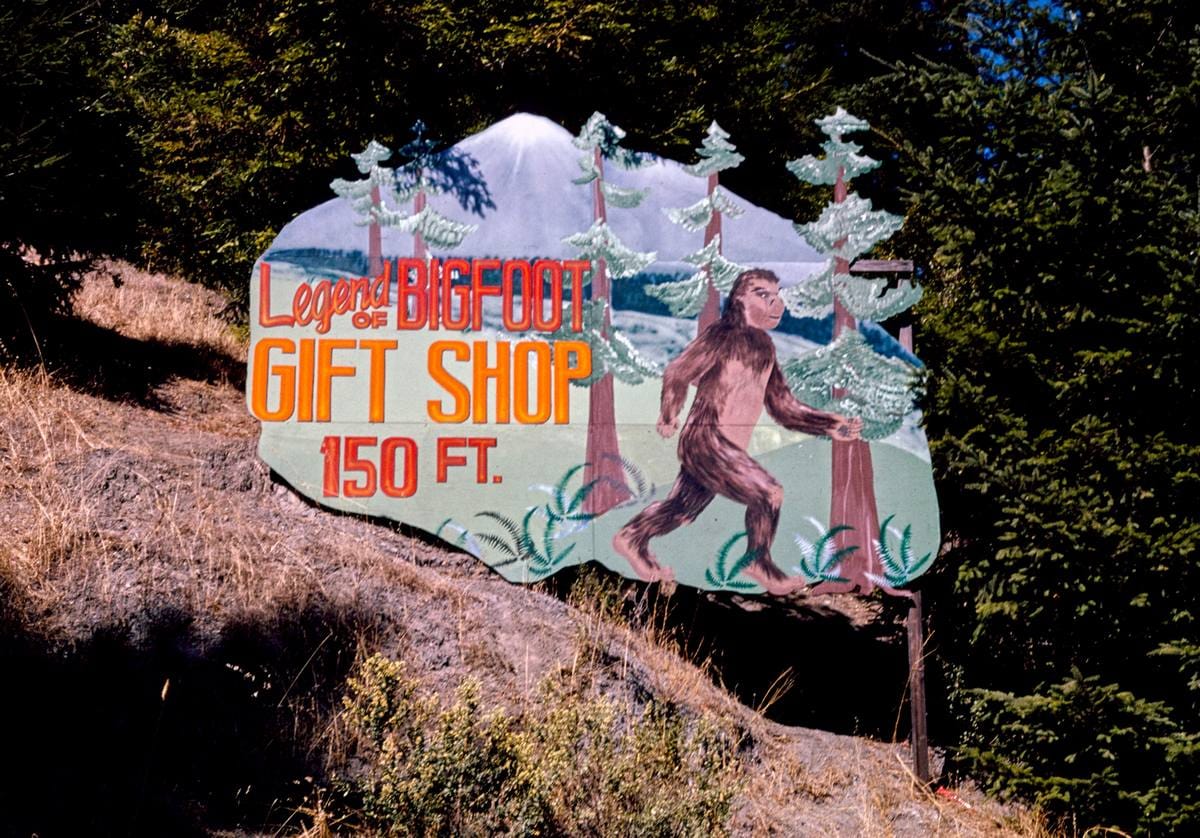 Historic Photo : 1991 Legend of Big Foot Gift Shop, Route 101, Garberville, California | Margolies | Roadside America Collection | Vintage Wall Art :