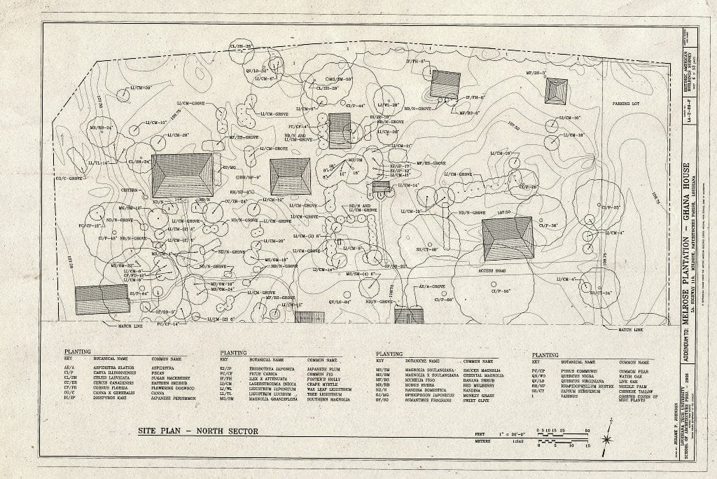 Blueprint Site Plan - North Sector - Melrose Plantation, Ghana House, State Highway 119, Melrose, Natchitoches Parish, LA
