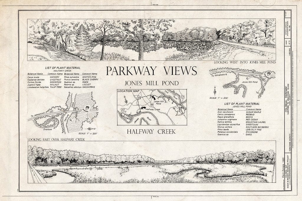 Blueprint 6. Parkway Views: Jones Mill Pond and Halfway Creek - Colonial Parkway, Yorktown to Jamestown Island, Yorktown, York County, VA