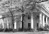 Historic Photo : 225 Milledge Avenue (House), Athens, Clarke County, GA 1 Photograph