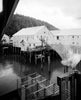 Historic Photo : Morpac Cannery, Ocean Dock Road, Cordova, Valdez-Cordova Census Area, AK 3 Photograph