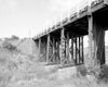 Historic Photo : Auwaiakeakua Bridge, Spanning Auwaiakekua Gulch at Mamalahoa Highway, Waikoloa, Hawaii County, HI 3 Photograph