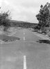 Historic Photo : Chain of Craters Road, Volcano, Hawaii County, HI 2 Photograph