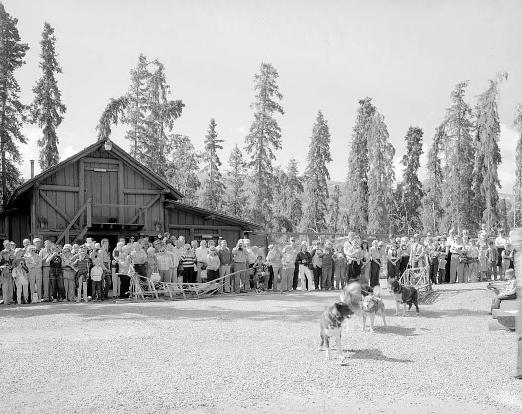 Historic Photo : Mount McKinley Headquarters, Dog Feed Cache & Sled Storage, Cantwell, Denali Borough, AK 5 Photograph
