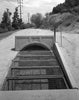 Historic Photo : Gage Irrigation Canal, Running from Santa Ana River to Arlington Heights, Riverside, Riverside County, CA 12 Photograph