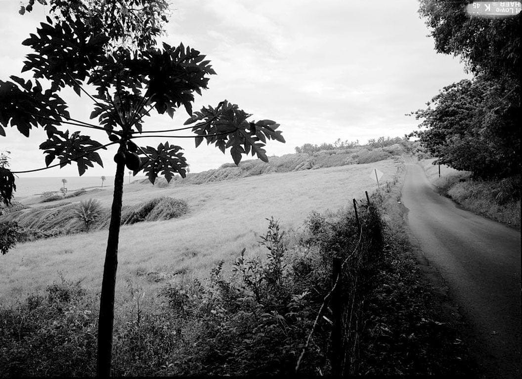 Historic Photo : Hana Belt Road, Between Haiku and Kaipahulu, Hana, Maui County, HI 33 Photograph